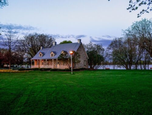 Healthy green residential lawn demonstrating region-appropriate grass selection for a low-maintenance and eco-friendly yard