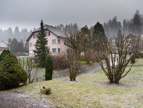 Discover winter lawn winterization tips to protect grass, strengthen roots, and enjoy a greener, healthier lawn when spring arrives.