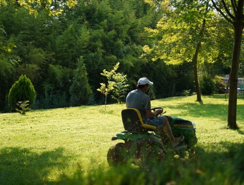 Man mowing a green lawn with a riding mower in a sunny park